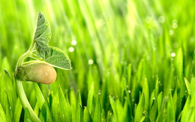 内痔疮的最佳治疗方法？