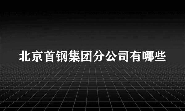 北京首钢集团分公司有哪些