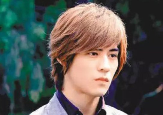 f4解散了吗？f4为什么解散？