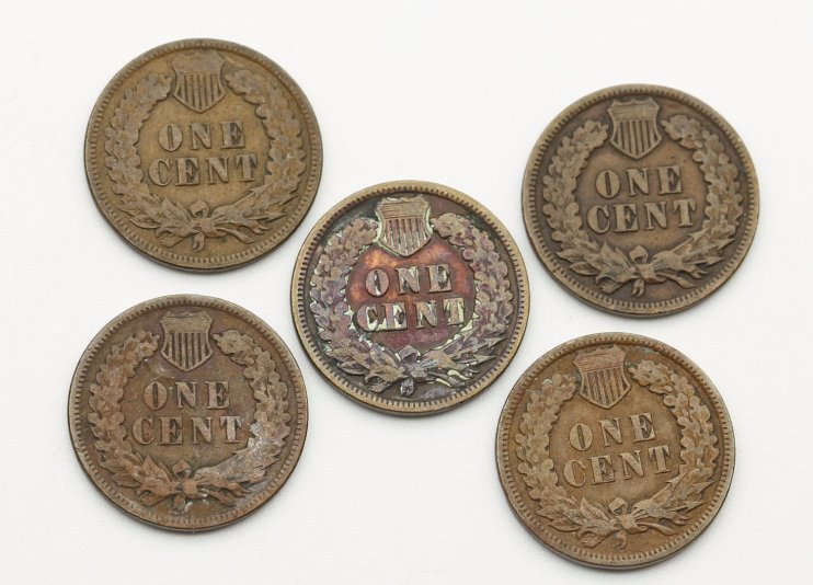 penny英文名是什么意思？