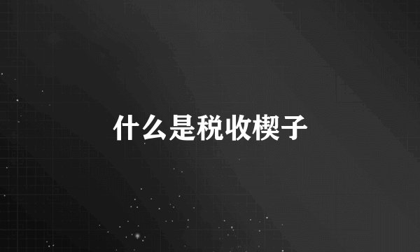 什么是税收楔子