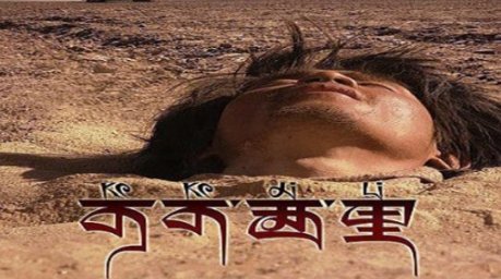 电影《可可西里》主要讲了什么？