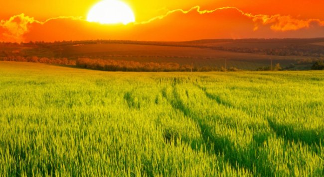 语文资源无处不在......（修改病句)