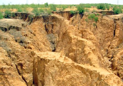 自然生态环境破坏的表现有哪些