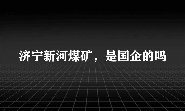 济宁新河煤矿，是国企的吗