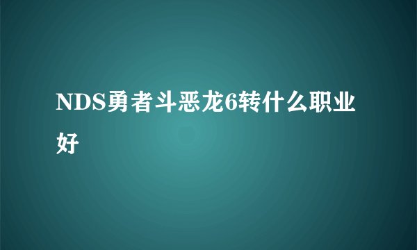 NDS勇者斗恶龙6转什么职业好