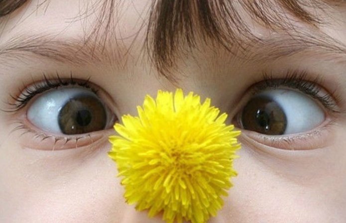 斗鸡眼图片，谁有