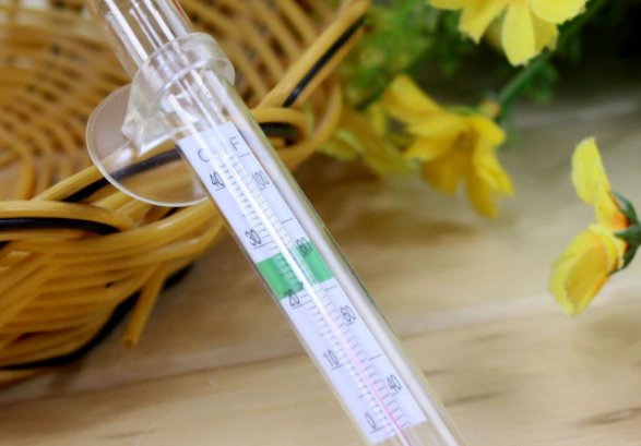 测体温要几分钟