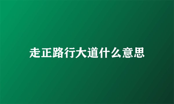 走正路行大道什么意思