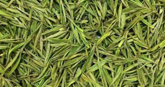哪些茶叶属于绿茶?