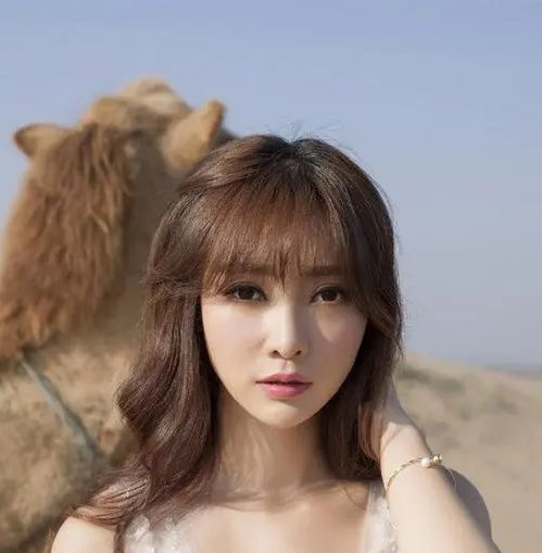 柳岩演过哪些电视或电影？这些电视或电影你觉得如何？