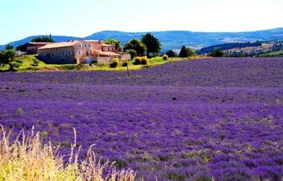 有什么好看的文艺片？