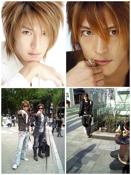 一条一希的介绍