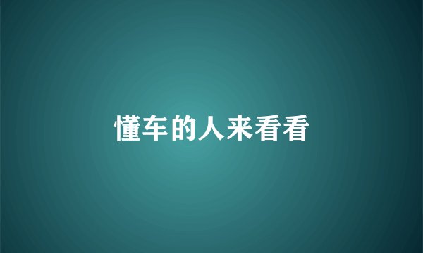 懂车的人来看看