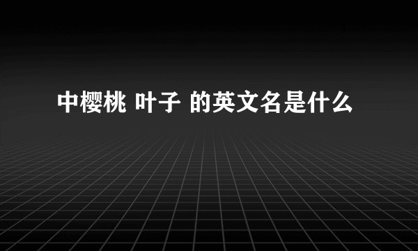 中樱桃 叶子 的英文名是什么