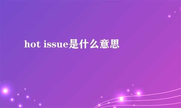 hot issue是什么意思
