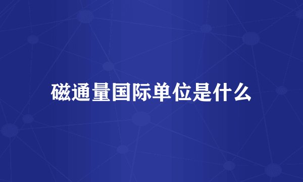 磁通量国际单位是什么