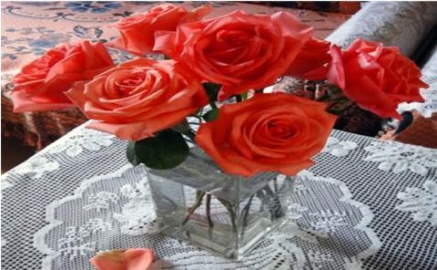 鲜花怎么样保存可以保鲜久一点？