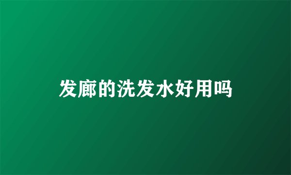 发廊的洗发水好用吗