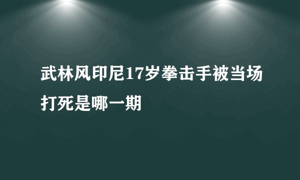 武林风印尼17岁拳击手被当场打死是哪一期