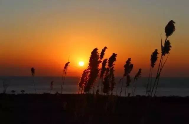 中国民族歌曲100首