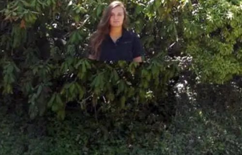 隐身衣的原理是什么?