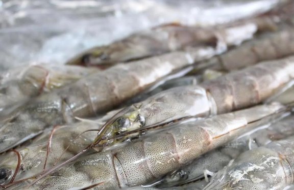 冷冻食品是如何分类