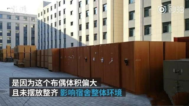 女博士床上放布娃娃,被学校通报批评,你怎么看?