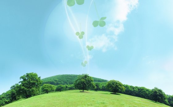 对环境违法行为进行包庇的该如何处罚