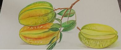 画杨桃告诉我们什么道理？