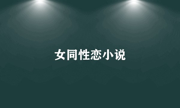 女同性恋小说