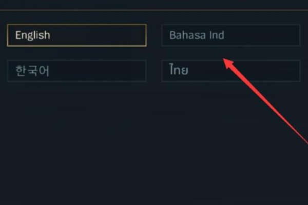 英雄联盟手游怎么设置中文？