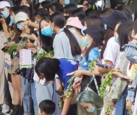 王一博粉丝拿香菜应援，这是种什么操作？