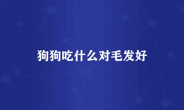 狗狗吃什么对毛发好