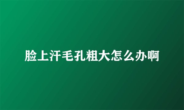 脸上汗毛孔粗大怎么办啊
