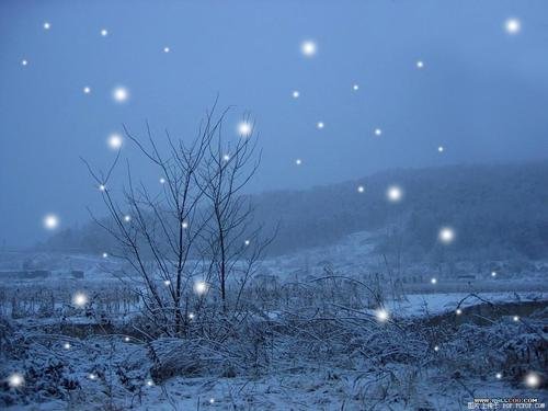 佛山地区曾经下过雪吗？