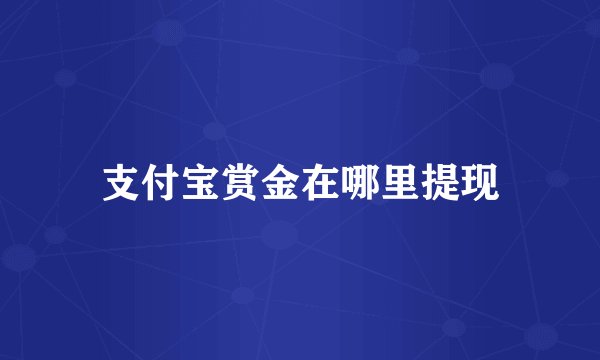 支付宝赏金在哪里提现