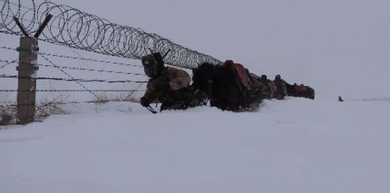 边防军人严寒巡逻积雪没过大腿，他们的存在给我们提供了怎样的生活保障？