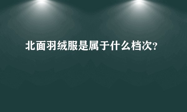 北面羽绒服是属于什么档次？