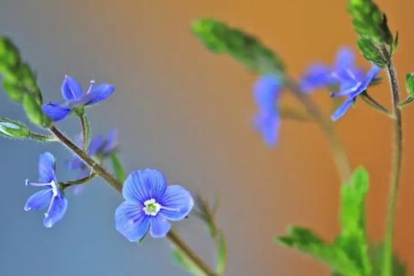 茫茫人海熊遇到你是我的缘,下一句是什么?