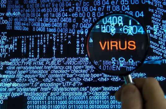 什么是蠕虫病毒