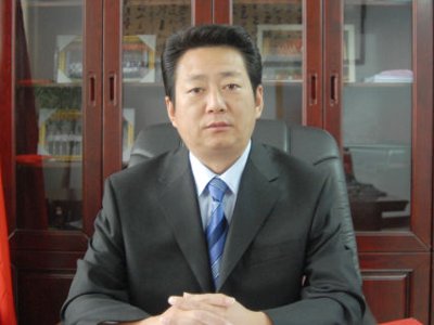 全国有多少个辞职的县委书记？