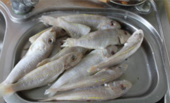 小海龙鱼的做法？