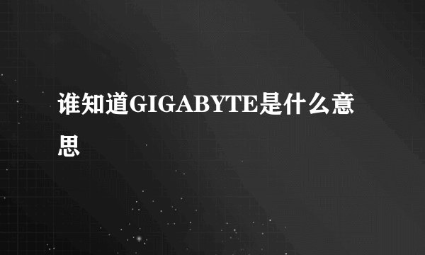 谁知道GIGABYTE是什么意思