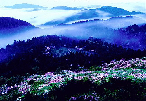 天台山慈恩寺，破旧修整是真的吗？