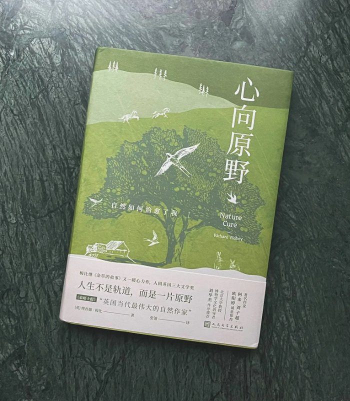 有什么好看的书籍推荐下？