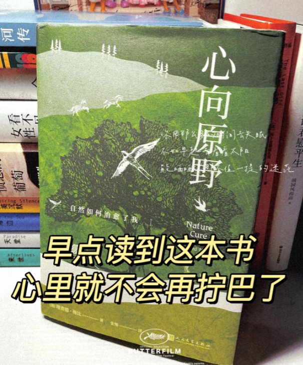 有什么好看的书籍推荐下？