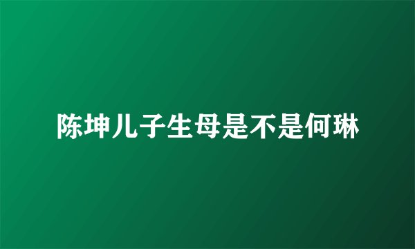 陈坤儿子生母是不是何琳