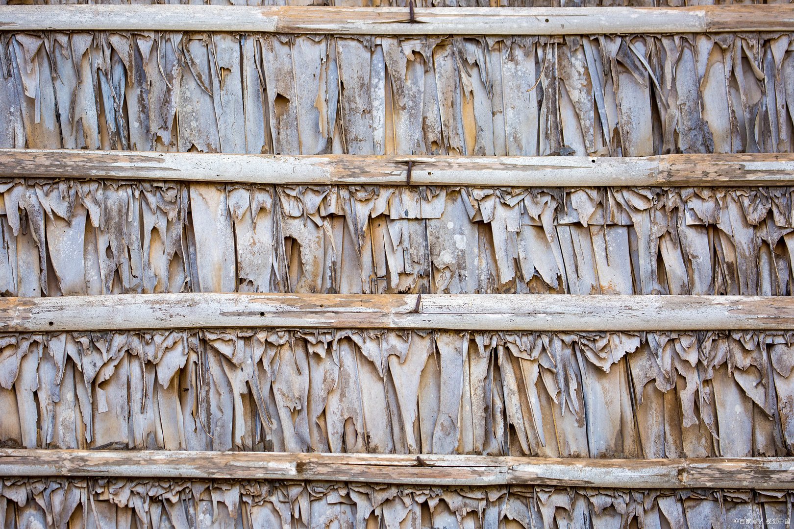 无懈可击之美女如云剧情分集介绍