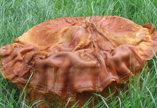 “不要在太岁头上动土”是什么意思?